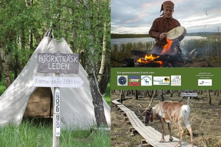 Bild: Joik-Workshop im Tierpark Sababurg (Hofgeismar) Ende Juni 2026 mit dem samischen Musiker Ailloš aus Norwegen