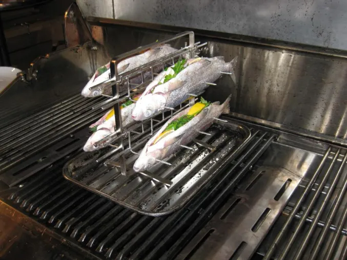 Bild: Neuheit vorgestellt – der neue Gourmet Fischgriller MULTI