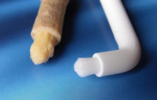 Bild: FYN® von zweasy® - die moderne Variante einer 5.000 Jahre alten Zahnputztradition