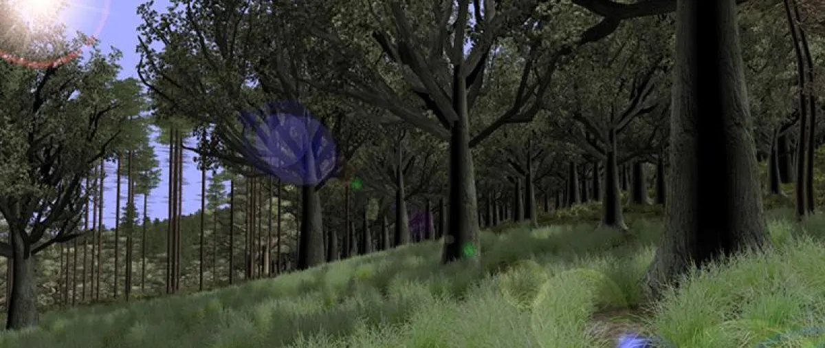 Blick in den Virtuellen Wald - Pressefoto Bildautor: RIF e.V., Dortmund