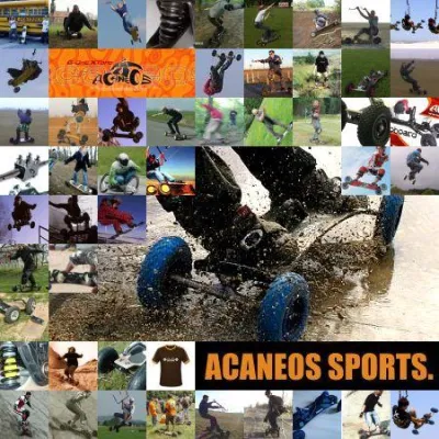 Bild: Das SommerSnowboard – in kurzen Hosen die Piste runter