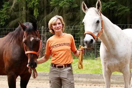 Bild: Das Pferd weiß, wer Chef im Parcours ist