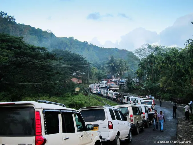 Bild: 10 Jahre illegal: "Menschensafari"-Straße in Indien bleibt geöffnet