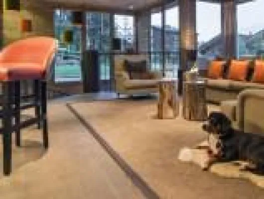 Mit dem Hund ins Luxus-Chalet – Ein Rudel fährt in den Schnee Bild: Mit dem Hund ins Luxus-Chalet – Ein Rudel fährt in den Schnee