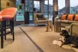 Bild: Mit dem Hund ins Luxus-Chalet – Ein Rudel fährt in den Schnee