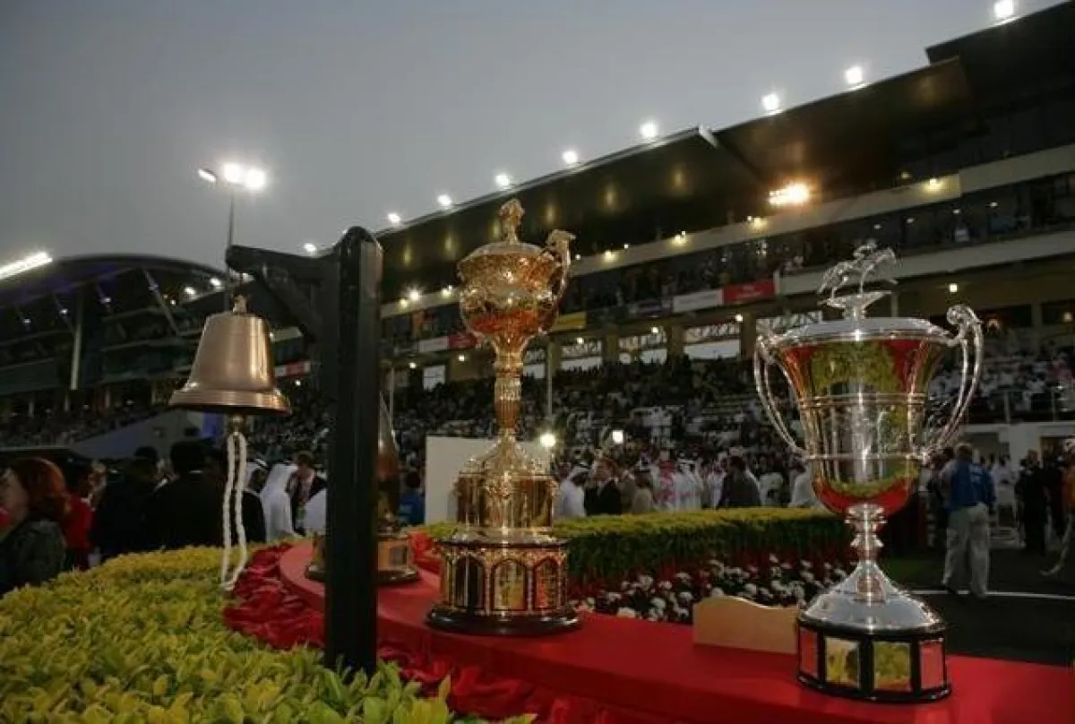 Die besten Galopp der Welt live auf Equi8