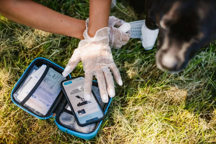 Bild: PocDoc PET CONNECT - Innovation für Hunde- und Katzenbesitzer