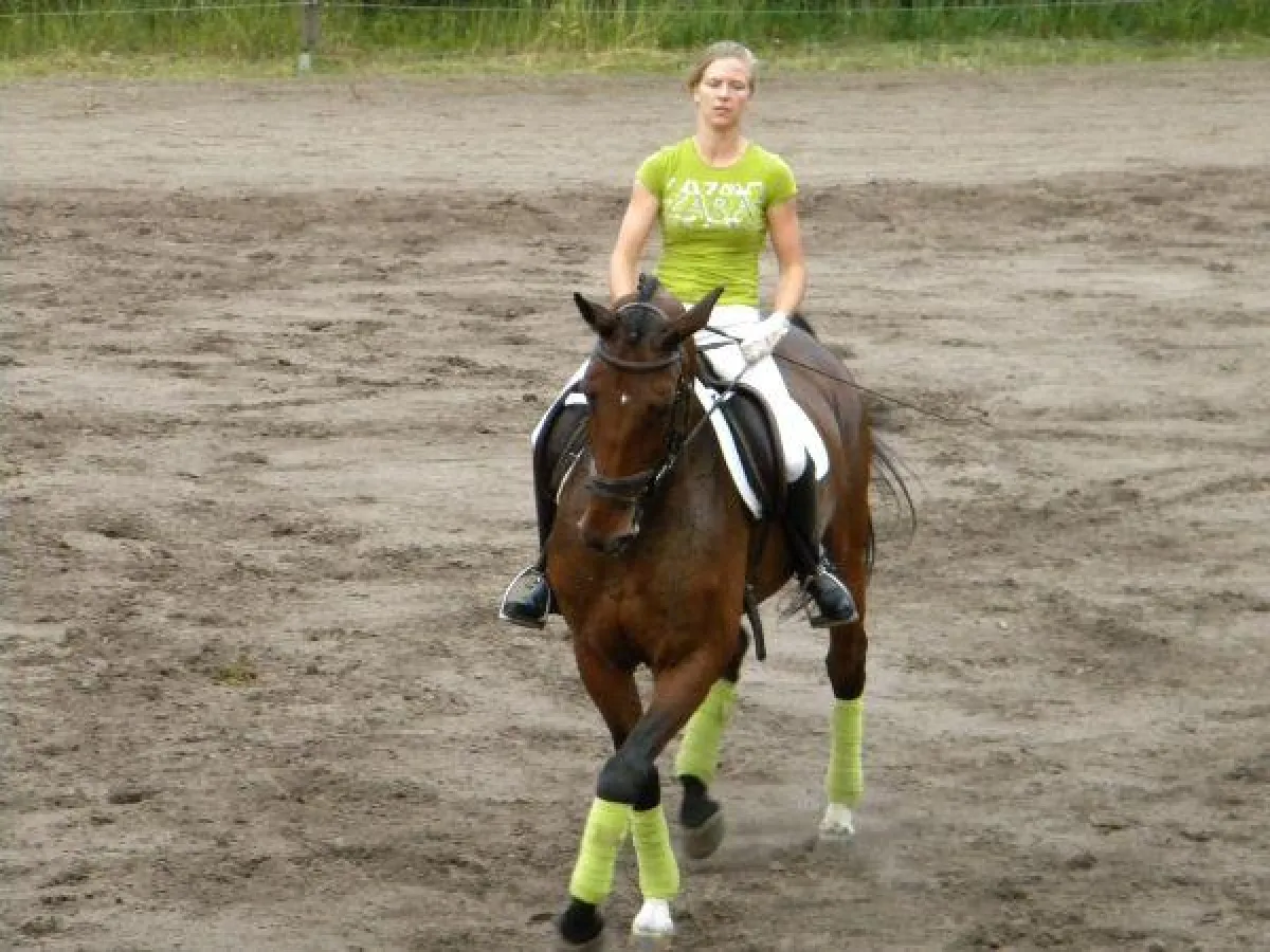 Reiter des LRV Tegel