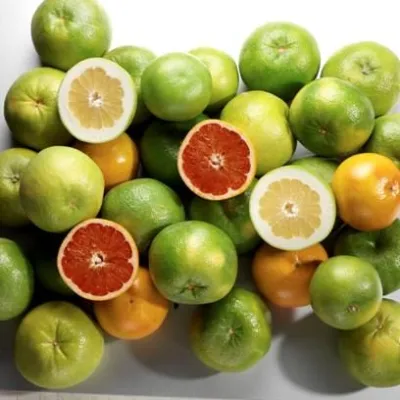 Der Geschmack der Sonne Bild: Der Geschmack der Sonne