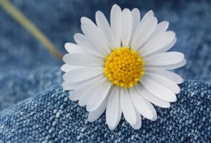 Jeanskleid Pflegetipps Bild: Jeanskleid Pflegetipps