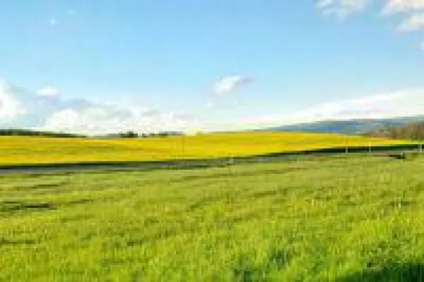 Sommerhitze und Gewitter. Gefahr für die Daten. Bild: Sommerhitze und Gewitter. Gefahr für die Daten.
