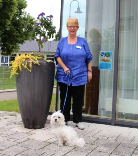Bild: „Bempflinger Beschütz-mich-Hund“ Lukas ist bereit