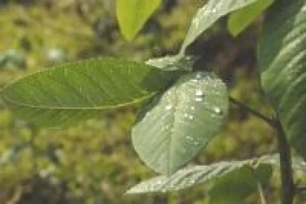 Einfach Spenden durch Sparen Bild: Einfach Spenden durch Sparen