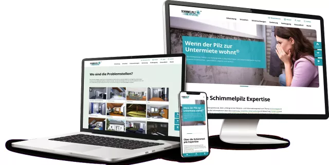 Bild: Fakten zum Thema Schimmel - Erste Marktstudie über Schimmelpilze in Wohnungen