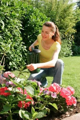 Bild: Garten-Bewässerung im Sommer