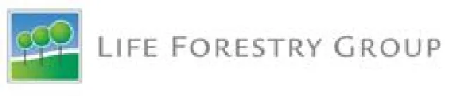 Bild: Life Forestry Switzerland: Kaufentscheidungen gegen Chinas Holzraubbau