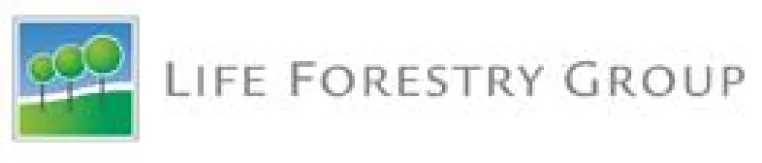 Bild: Life Forestry Switzerland: Kaufentscheidungen gegen Chinas Holzraubbau