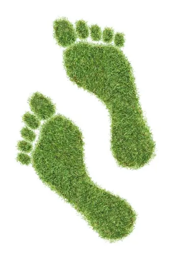 Der CO2-Fußabdruck eines Specksteinofens neutralisiert sich bereits im ersten Jahr Bild: Der CO2-Fußabdruck eines Specksteinofens neutralisiert sich bereits im ersten Jahr