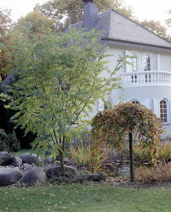 Erben von teuren Immobilien müssen künftig tiefer in die Tasche greifen. Foto: BGL/PdM