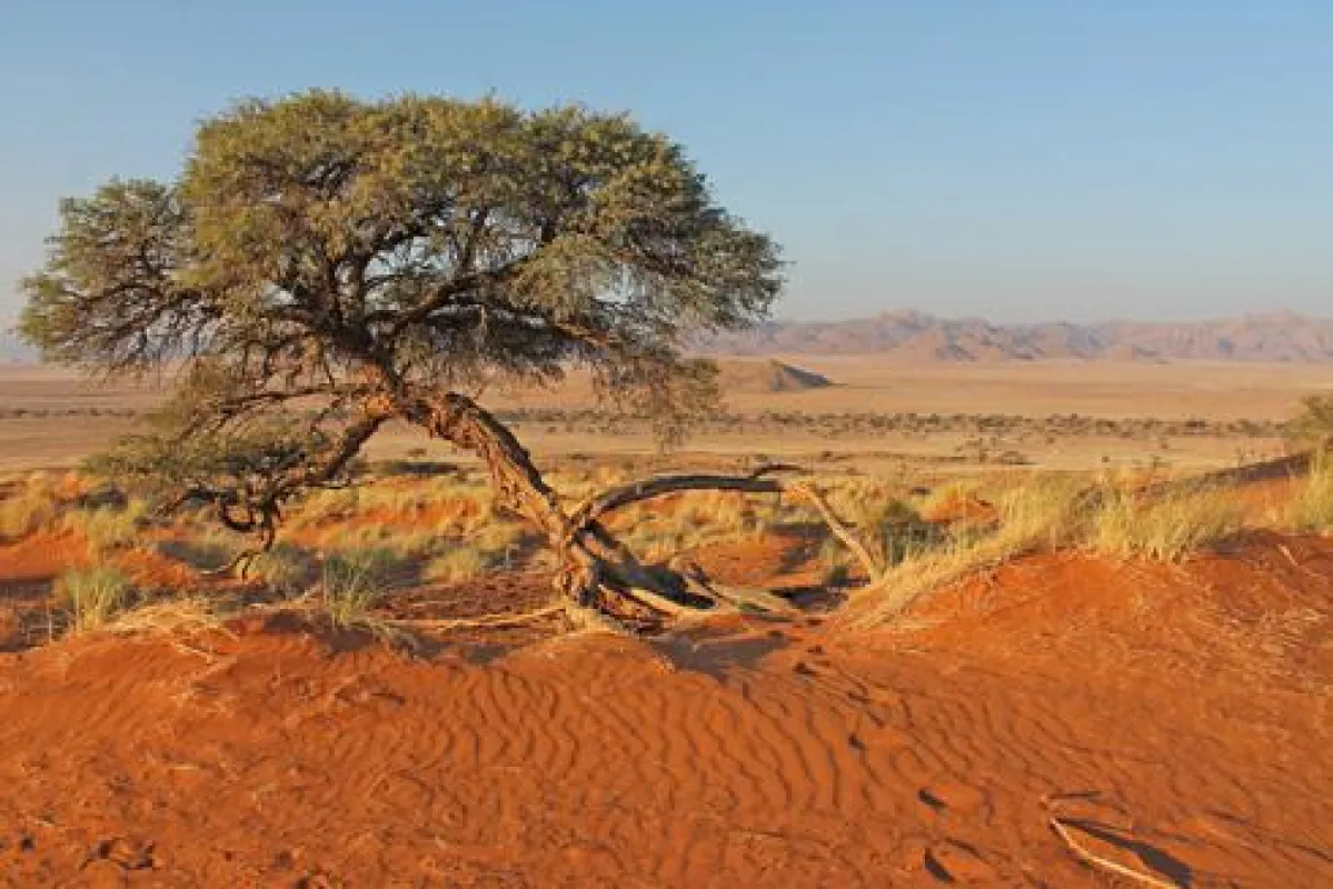 Die Namib Wüste wartet mit einem prächtigen Farbenspiel auf Reisende