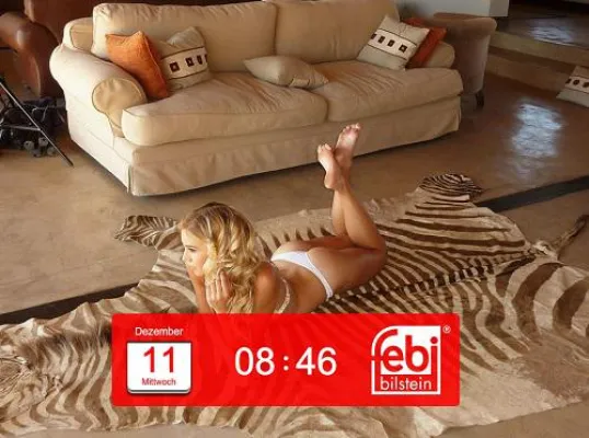 Bild: Urlaubs-Feeling am Arbeitsplatz: Mit dem Bildschirmschoner von febi bilstein