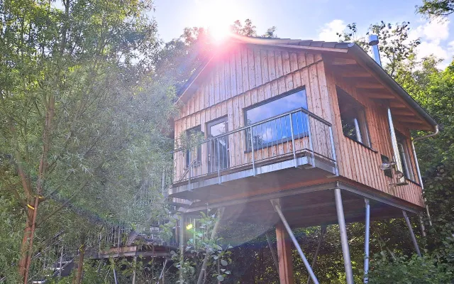 Urlaub mit Hund boomt: Warum Hotels umdenken – und was ein Baumhaushotel an der Nordsee anders macht Bild: Urlaub mit Hund boomt: Warum Hotels umdenken – und was ein Baumhaushotel an der Nordsee anders macht