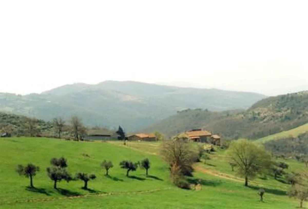 Herbstferien 2011, Tango tanzen lernen und entspannter Urlaub in traumhafter Umgebung in der Villa La Rogaia