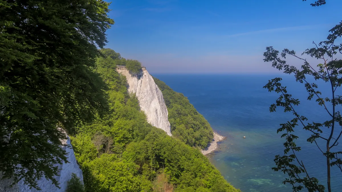 Fragile Schönheit: Der Königsstuhl noch ohne 