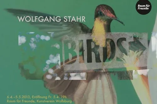 Wolfgang Stahr - BIRDS Bild: Wolfgang Stahr - BIRDS