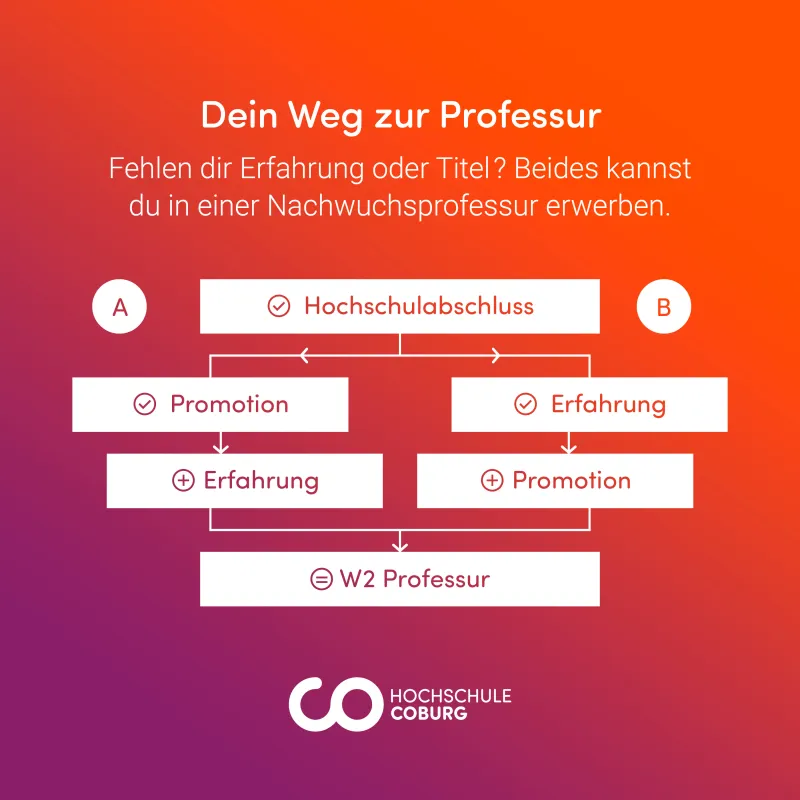 Der Weg zur Professur (© Impetus)