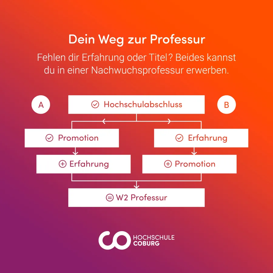 Der Weg zur Professur (© Impetus)