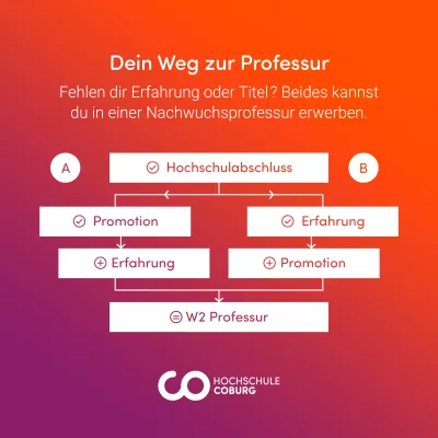 Bild: Warum Hebammen Professorinnen werden sollten 