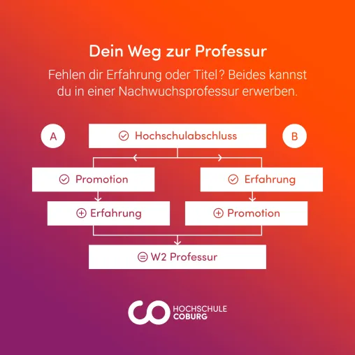 Bild: Warum Hebammen Professorinnen werden sollten 