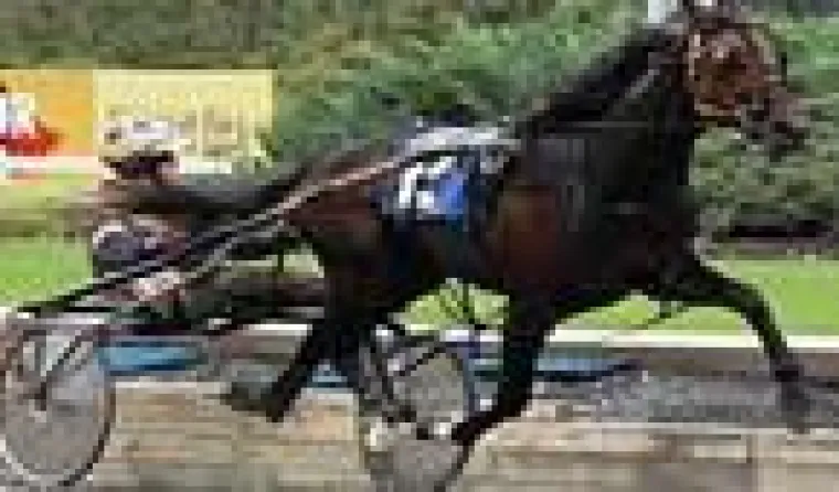 Bild: Hambletonian 2008 - Wer ist dabei?