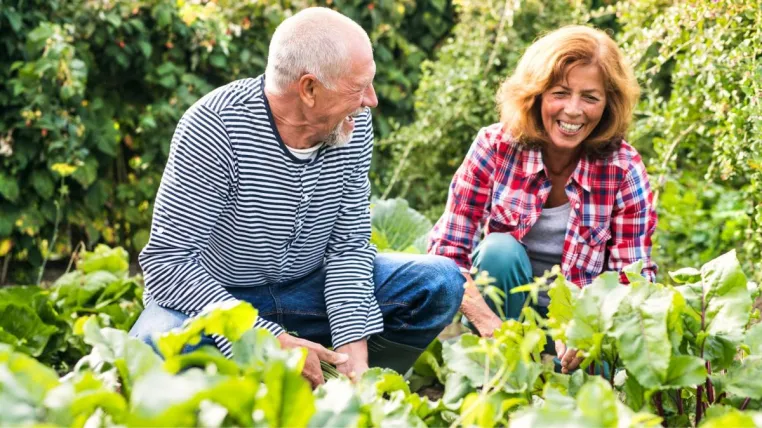 Bild: Jens Schwamborn: Wie Gartenarbeit die Psyche beeinflusst  