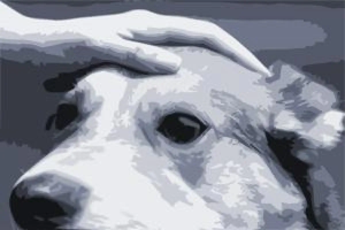 Warum es wichtig ist, sich um die Mitarbeiter zu kümmern