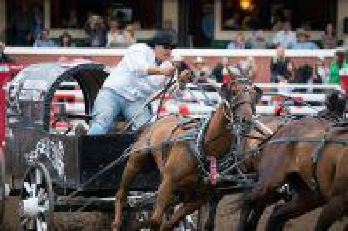 Chuckwagon Rennen. Bildnachweis: Calgary Stampede