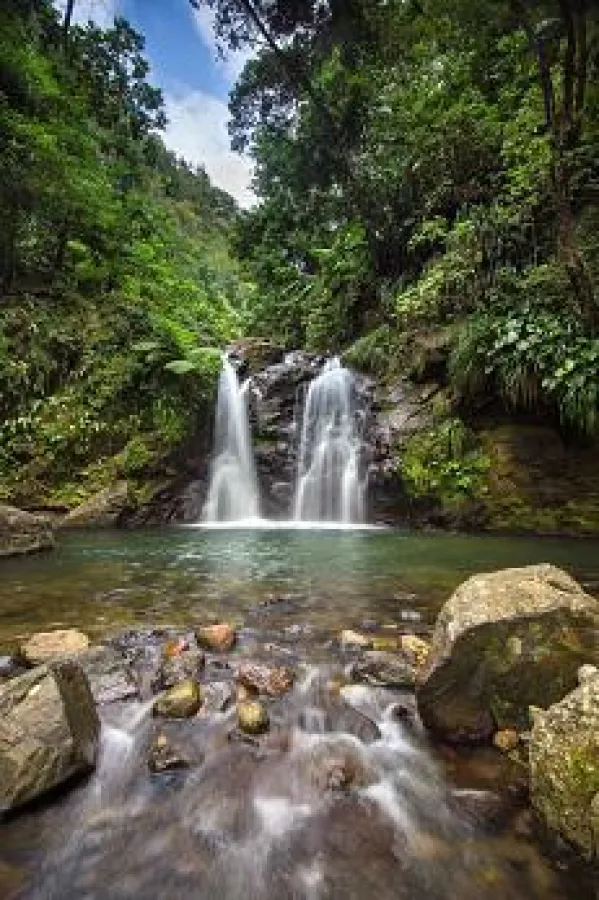 Wasserfall im Regenwald auf Martinique_© Comité Martiniquais du Tourisme