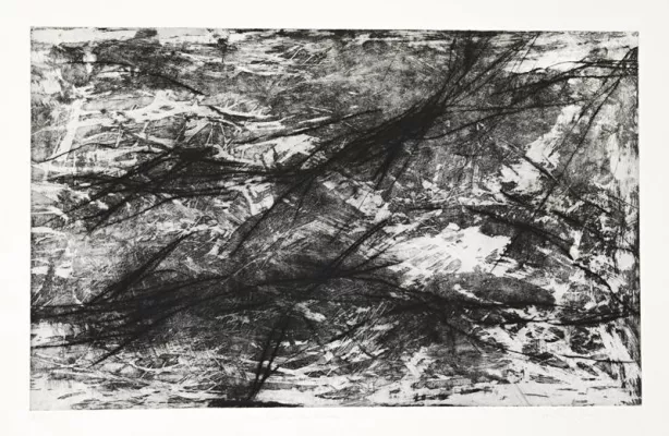 Bild: LICHTE TIEFEN - Radierungen von Kerstin Franke-Gneuß im Kunstverein Meißen