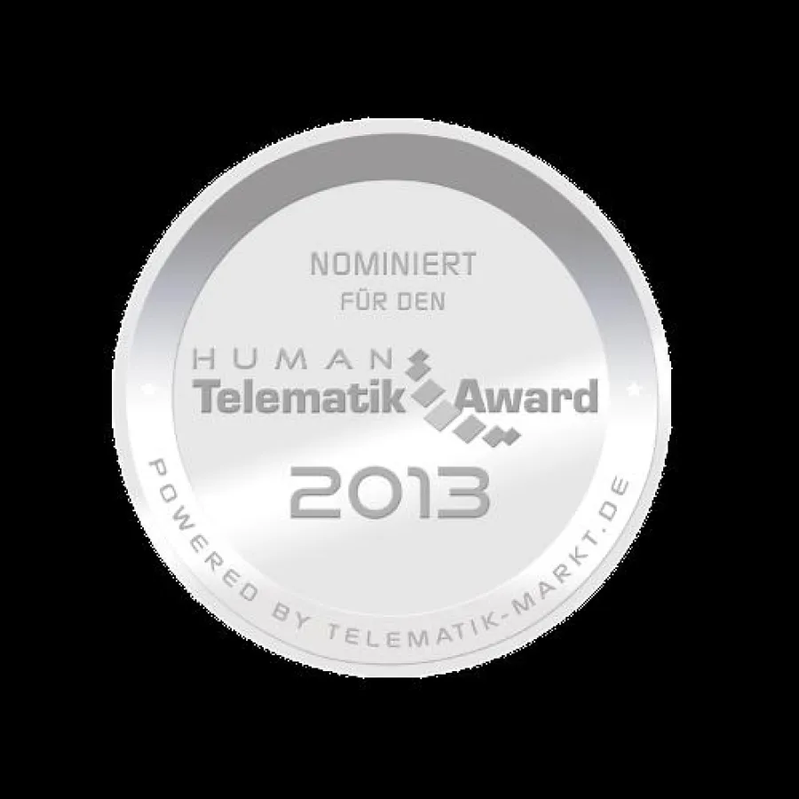 Telematik Award 2013