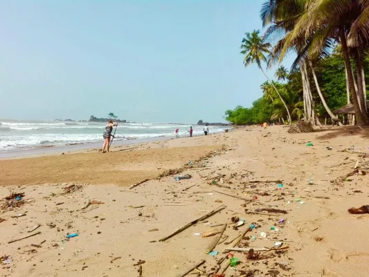 Bild: Ein Beispiel für nachhaltige Freiwilligenarbeit: Naturschutz im Küstengebiet von Ghana
