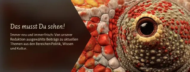 Bild: Auge in Auge mit der Tierwelt auf FEATVRE