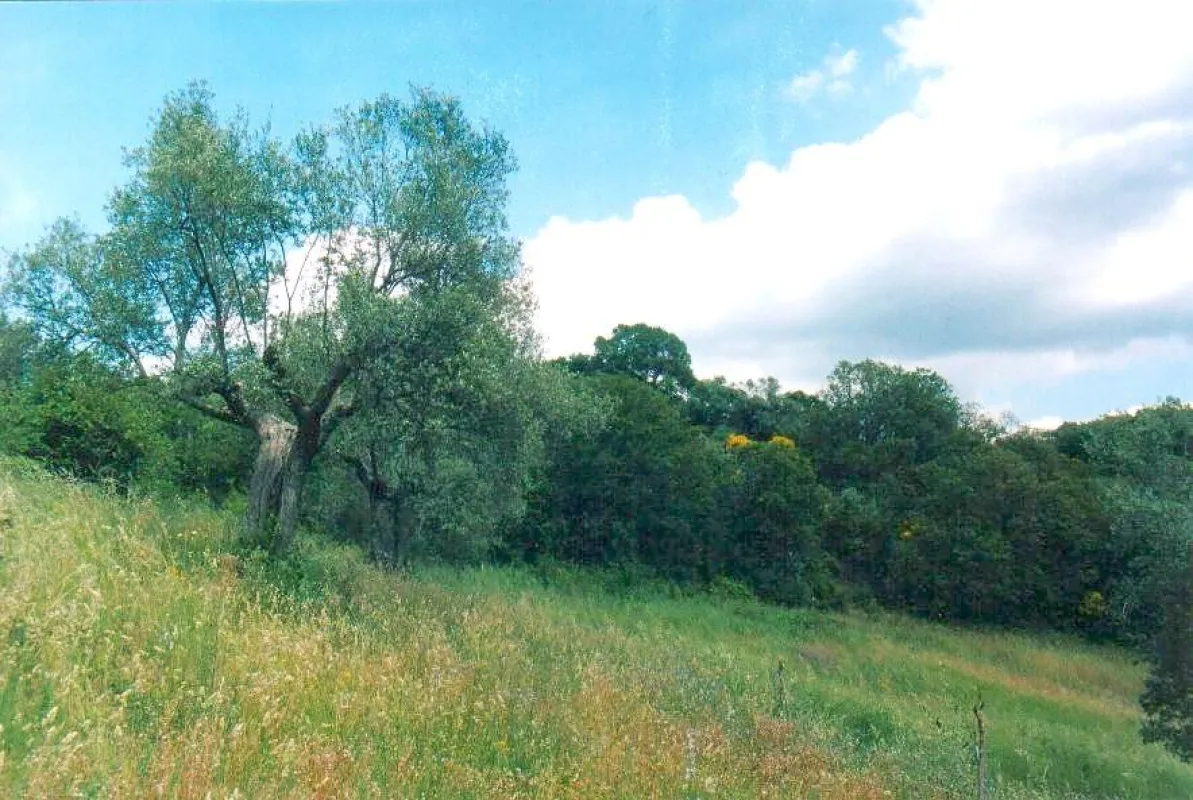 Intakte Natur in La Rogaia, wir wollen, daß es auch so bleibt