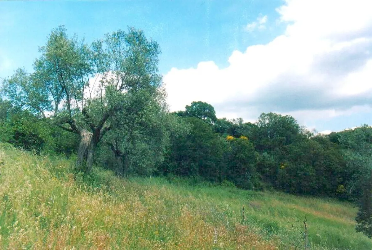Intakte Natur in La Rogaia, wir wollen, daß es auch so bleibt