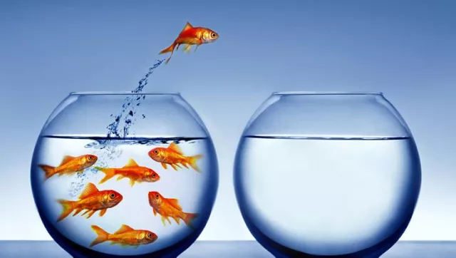 Bild: Change Management und Lernen in Organisationen