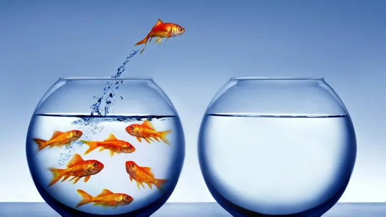 Bild: Change Management und Lernen in Organisationen