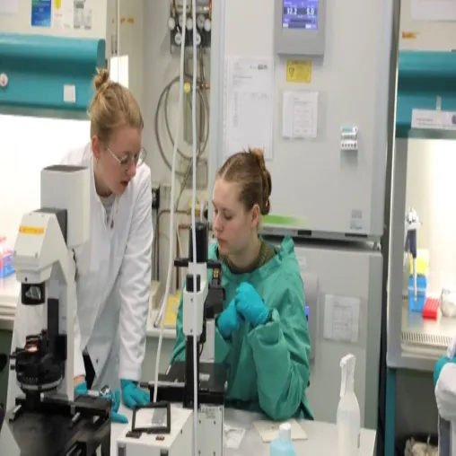 Bild: UniStem Day 2023 - Stammzellforschung zum Anfassen