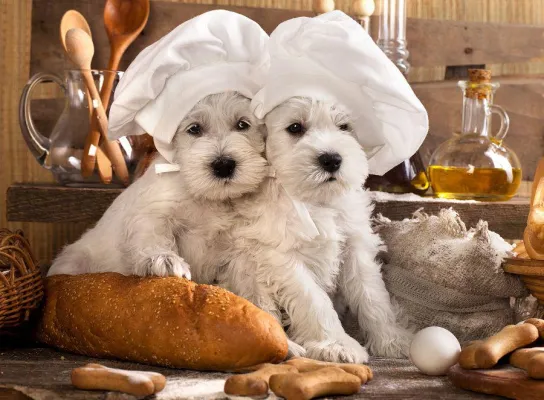 Bild: Ostern für den Hund: Das sind die besten Hundekeks-Rezepte