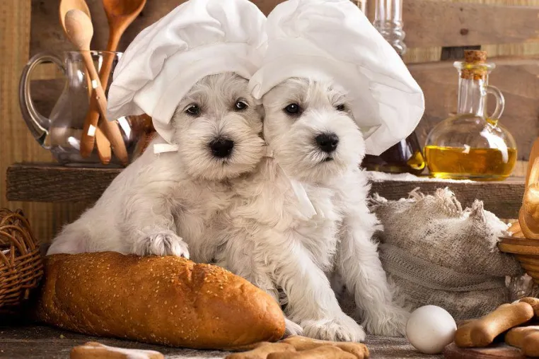 Bild: Ostern für den Hund: Das sind die besten Hundekeks-Rezepte