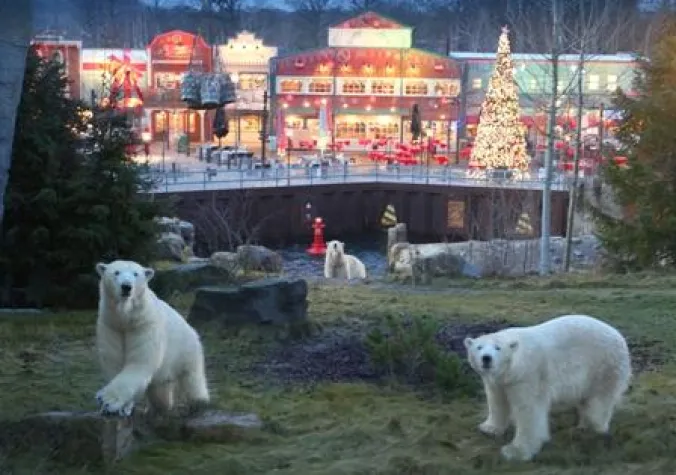 Bild: Winter-Zoo Hannover: Yukon Bay by night!